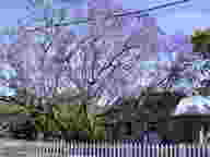 dscn2222_thumb.jpg