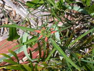 dscn2228_thumb.jpg