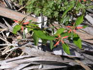 dscn2229_thumb.jpg