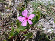dscn2245_thumb.jpg