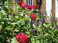 dscn2246_thumb.jpg