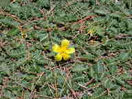 dscn2254_thumb.jpg