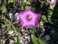 dscn2255_thumb.jpg
