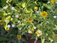 dscn2261_thumb.jpg