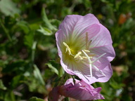 dscn2089_thumb.jpg