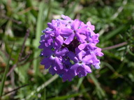 dscn2090_thumb.jpg