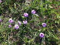 dscn2093_thumb.jpg