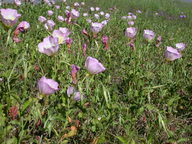 dscn2095_thumb.jpg