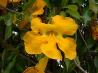 dscn2115_thumb.jpg