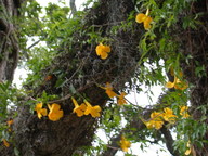 dscn2116_thumb.jpg