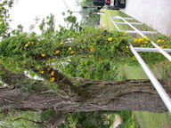 dscn2117_thumb.jpg