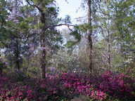 dscn3598_thumb.jpg