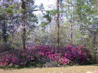 dscn3599_thumb.jpg