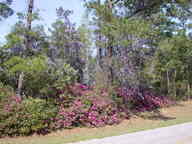 dscn3600_thumb.jpg
