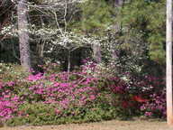 dscn3603_thumb.jpg
