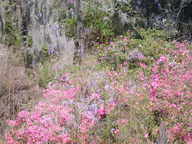 dscn3604_thumb.jpg