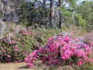 dscn3605_thumb.jpg