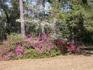 dscn3606_thumb.jpg