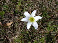 dscn3501_thumb.jpg