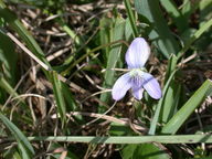 dscn3502_thumb.jpg