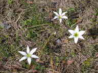dscn3504_thumb.jpg