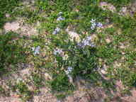 dscn3506_thumb.jpg