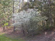 dscn3507_thumb.jpg