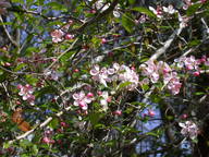 dscn3508_thumb.jpg