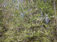 dscn3509_thumb.jpg