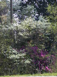 dscn3510_thumb.jpg