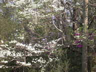 dscn3511_thumb.jpg