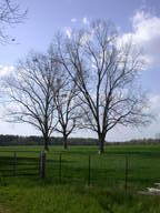 dscn3512_thumb.jpg