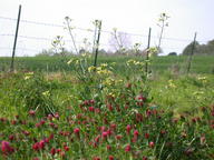 dscn3513_thumb.jpg