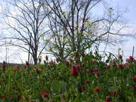 dscn3514_thumb.jpg