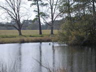 dscn3515_thumb.jpg