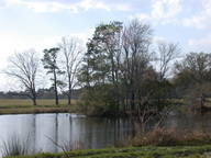 dscn3516_thumb.jpg