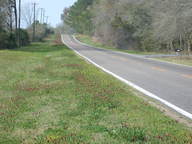 dscn3517_thumb.jpg