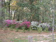 dscn3519_thumb.jpg