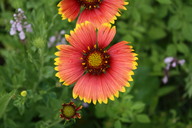 img_4820_thumb.jpg