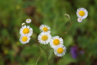 img_4823_thumb.jpg