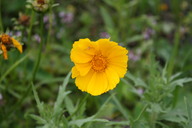 img_4827_thumb.jpg