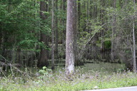 img_4857_thumb.jpg