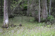img_4858_thumb.jpg