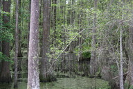 img_4859_thumb.jpg