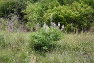 img_4861_thumb.jpg
