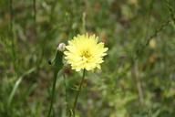 img_4874_thumb.jpg