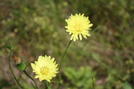 img_4882_thumb.jpg