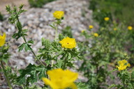 img_4900_thumb.jpg