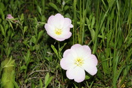 img_4901_thumb.jpg