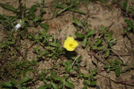 img_4902_thumb.jpg